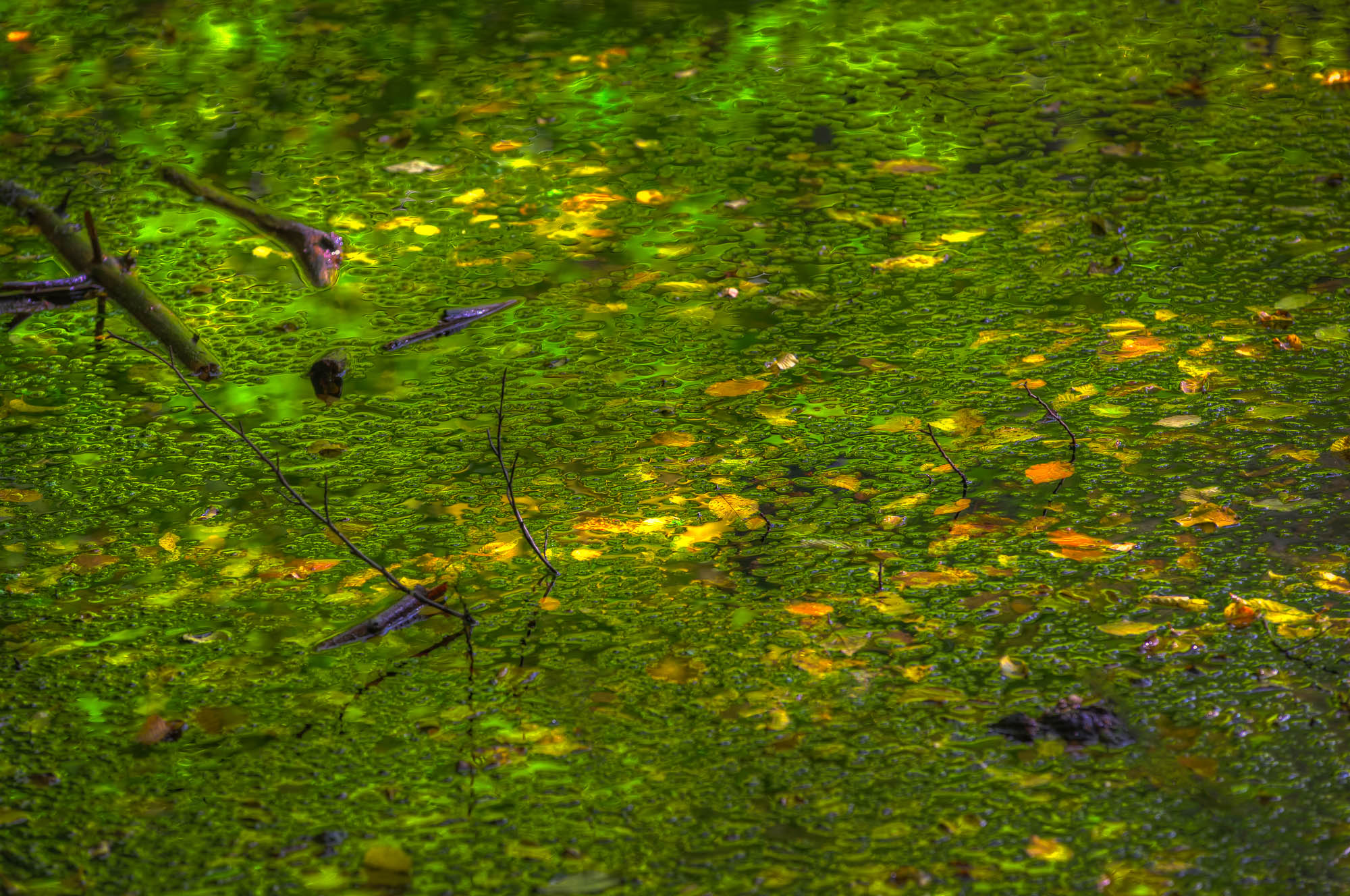 Deutschland - Allgemein